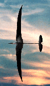 planview gif - 12049 Bytes